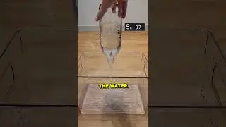 Самый быстрый способ опустошить бутылку #шорты