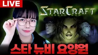 🔥스타크래프트🔥왕초보 뉴비 캠페인 6일차! 오리지날 프로토스 에피소드 드개재! Starcraft [LIVE🔴]