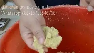 video of garlic/ginger paste grinding machine#machine