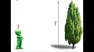 Перечет деревьев