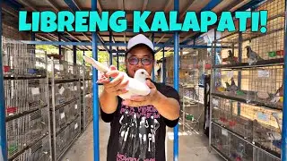 JAIME LIM STYLE NA BAHAY KALAPATI 😱