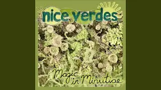 Magic in Minutiae