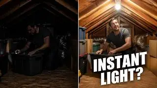 Do These LED Motion Sensing Light Bulbs Work?