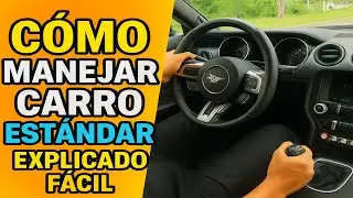 C&oacute;mo manejar carro est&aacute;ndar (manual) explicado f&aacute;cil | Aprende a conducir desde cero