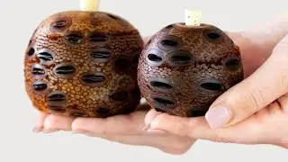 Banksia Aroma Pod Essential Oil Diffusers