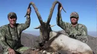 New Mexico Ibex hunting