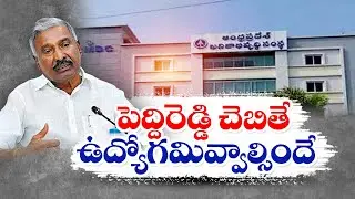 APMDCలో పెద్దిరెడ్డి సిఫార్సుతో ఉద్యోగాలు | Jobs in APMDC With Peddi Reddy's Recommendation