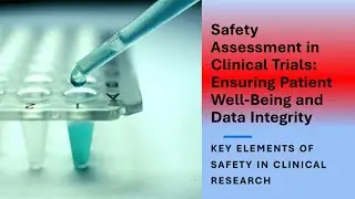 Safety Assessment in Clinical Trials and Beyond