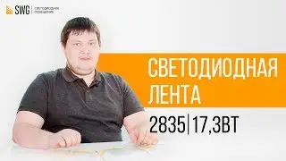 Светодиодная лента 2835 - ОБЗОР коротко и по делу | SWG