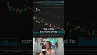 OPEN Meme Stock Surge: What's Next?