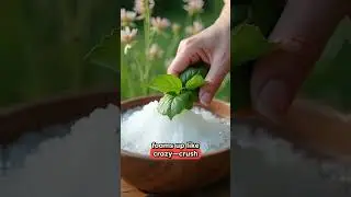 I Found Nature's FREE Soap in the Wild - No Chemicals Required!