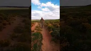 Nature walks with my dog Papi lights up life here on the Navajo