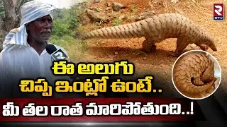 Alugu Animal Special Story : ఈ అలుగు చిప్ప ఇంట్లో ఉంటే.. మీ తల రాత మారిపోతుంది..! | RTV