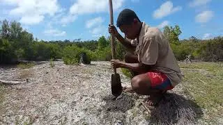 Reforestation Manakara Madagascar 2022