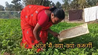 एक नई शुरुआत / मेरी पहली व्लॉग 