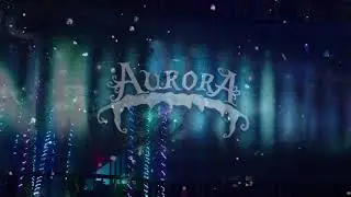 Glenlore Trails Aurora Winter Wizards