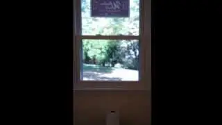 3 Bedroom 2.5 Bath Renovated Home for Sale in Raytown