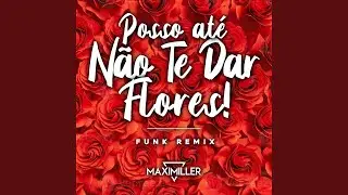 Posso at&eacute; n&atilde;o te dar flores - Funk Remix