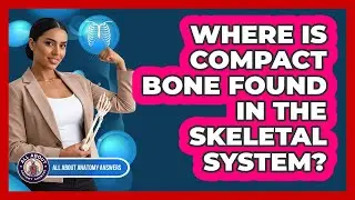 Where Is Compact Bone Found In The Skeletal System?