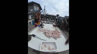 Who can fillet a halibut faster in Homer, Alaska? Captain Josh vs Buttwhackers
