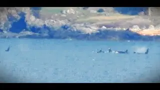 Home Alone: J Pod of Endangered Southern Resident Killer Whales, Haro Strait- their Critical Habitat