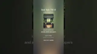 StealthStyle Systems TM 1 01