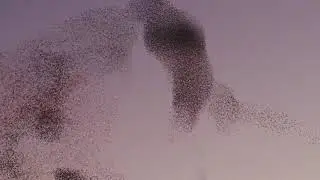 كن مع الله ترى الله معك