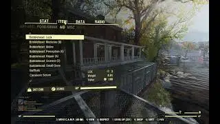 Fallout 76 Can't 