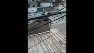 MILICIANO REAGE A ASSALTO DENTRO FAVELA