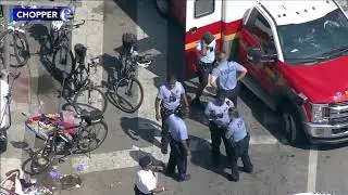 Irate dog owner sprays mace at Philadelphia police officers during animal recovery