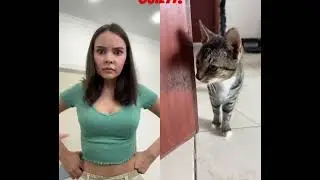#catcrime