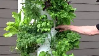 MOST CREATIVE SOLUTION Contest Winner! Jeff the Gardener says 
