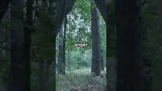 NEVER POINT AT THIS TREE! 😨🌳 The Balete Tree Curse 👀👻