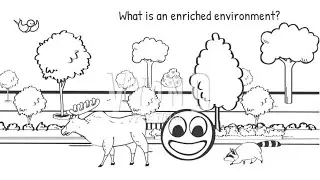 Enriched Environments