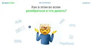 Startup Seostrider