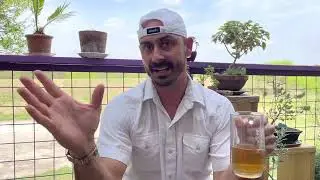 Bonsai & Beer! Ground Cover That Survives Texas Heat