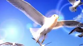 Mantra Lam Vam Ram Yam Shyam Ksham Om Gouranga