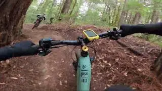 Mendocino Mountain Biking - Observatory Trail - ALL (with a fun crash)
