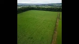 How to claim the Eco Scheme in 2023