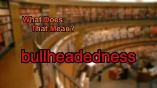 What does bullheadedness mean?