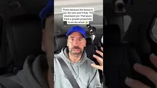 Your pet get car sick?