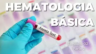 Morfologia das Hem&aacute;cias: Como Identificar Altera&ccedil;&otilde;es no Hemograma