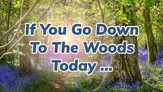 NATURE FIRE DRY DEAD WOOD COLLECTING | For Youtuber Meet Up Campfire in August | Warwickshire Moor