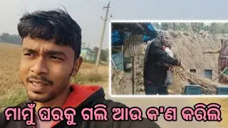 ମାମୁଁ ଘରକୁ କାହିଁକି ଗଲି।@odiapilaa9 #odisha #odiavlog #familyvlog