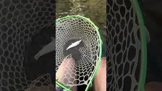Pescando con equipo de TEMU UL no defrauda ✌🏻