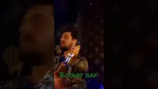 Bards of Gungywamp