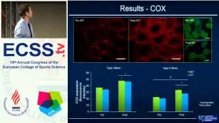 YIA winner: High intensity interval and traditional endurance training... - Shepard, S.