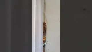 #samodpalace