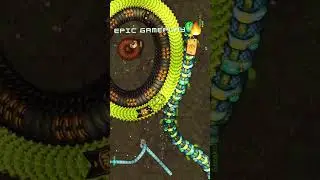Little Big Snake - The Best Trap Party ! #littlebigsnake #iogames #snakegames #shorts