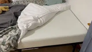Honest review of Zinus 6 Inch Green Tea Memory Foam Mattress